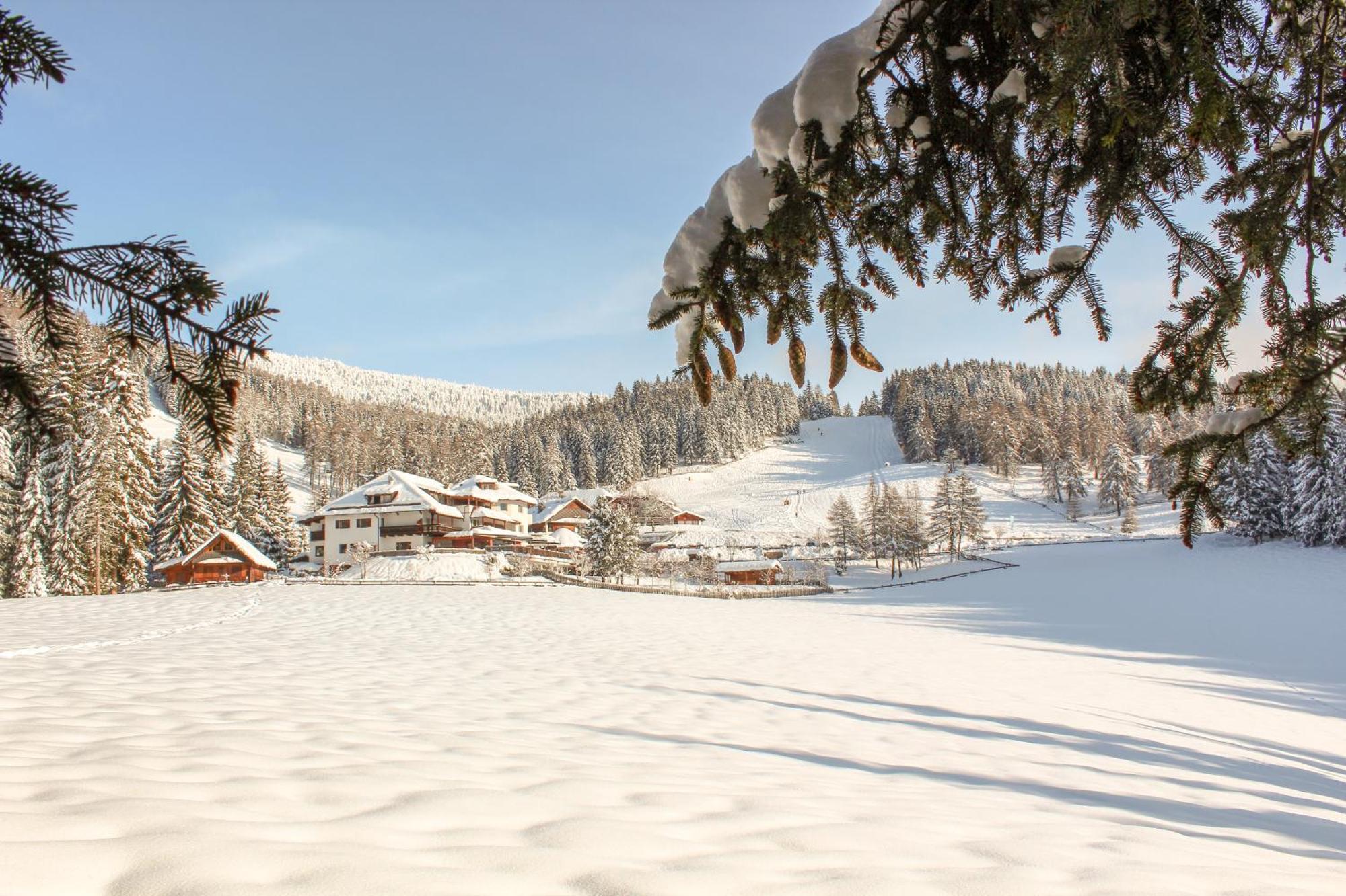 Berghotel Zum Zirm Collalbo Esterno foto