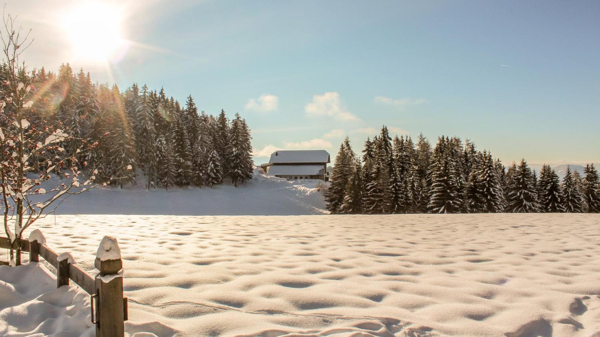 Berghotel Zum Zirm Collalbo Esterno foto