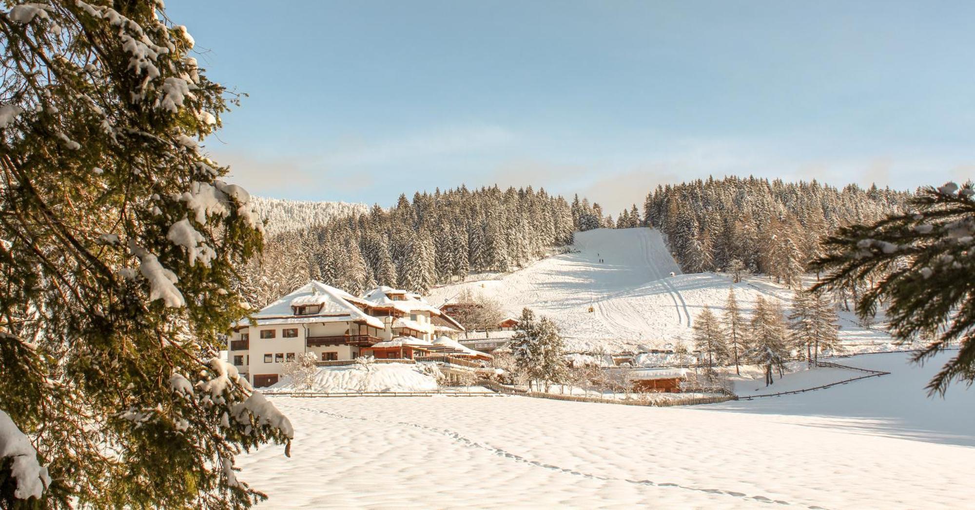 Berghotel Zum Zirm Collalbo Esterno foto